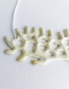 Colier Coral